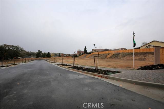 Paso Robles, CA 93446,8 Catahoula