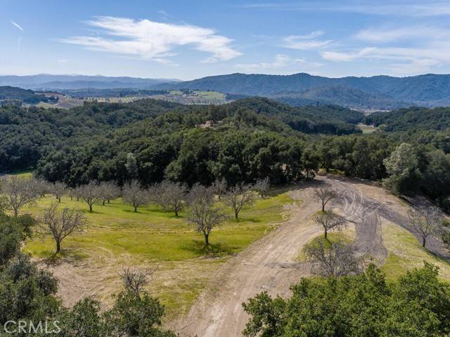 Paso Robles, CA 93446,0 Loose Horse