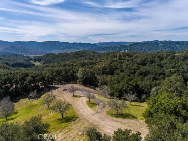 Paso Robles, CA 93446,0 Loose Horse