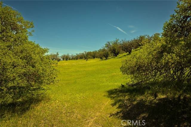 Paso Robles, CA 93446,0 Geneseo Road