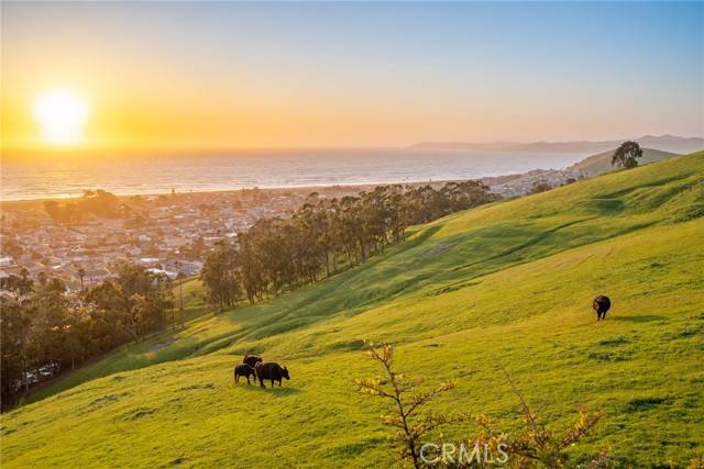 Morro Bay, CA 93442,2691 Nutmeg Avenue