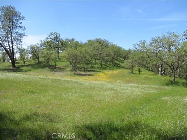 Creston, CA 93432,0 Katacreek