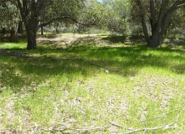 San Miguel, CA 93451,0 0 Vineyard Canyon Parcel 29