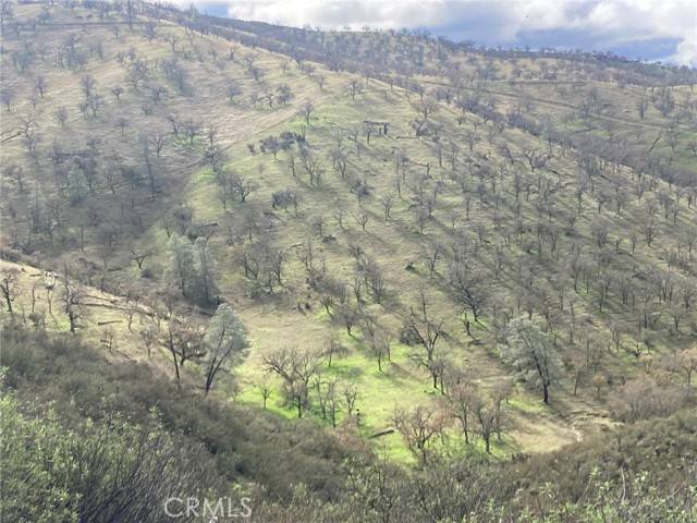 Creston, CA 93432,2740 Calf Canyon