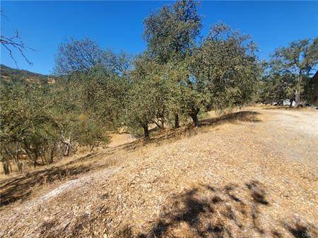 Paso Robles, CA 93446,5129 Northfork