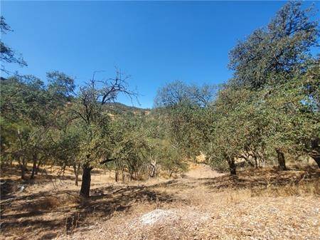 Paso Robles, CA 93446,5129 Northfork