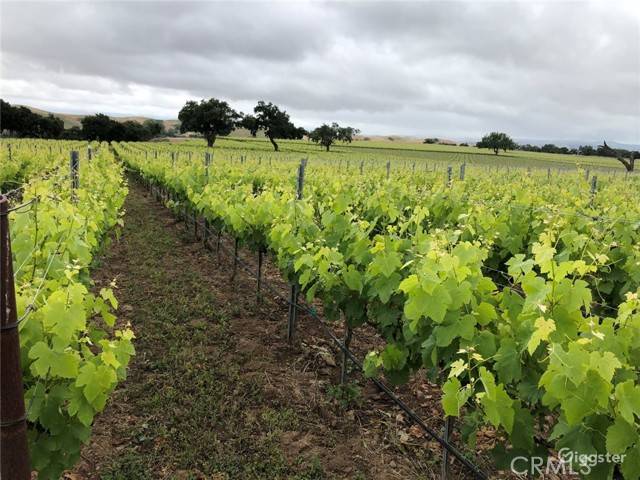 Los Olivos, CA 93441,6893 Foxen Canyon