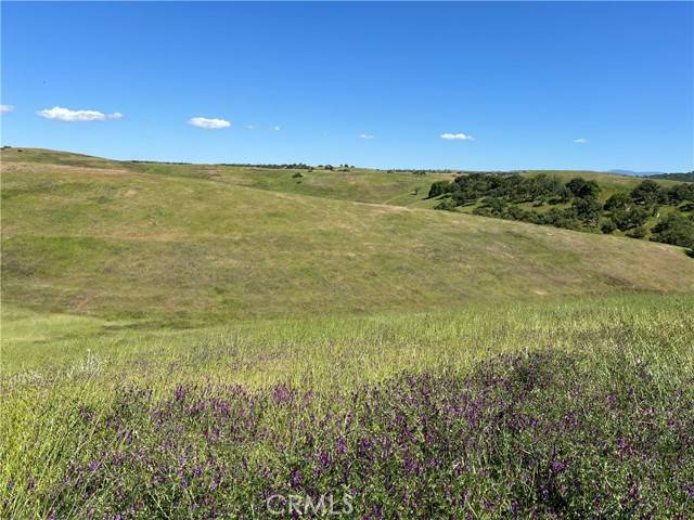 Paso Robles, CA 93446,0 Unnamed