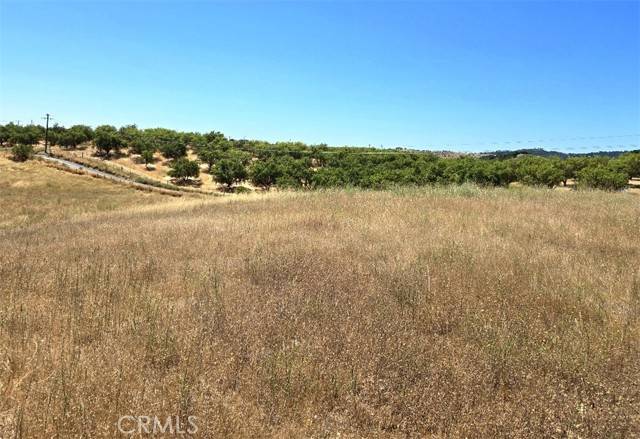 Paso Robles, CA 93446,2100 Bella Tierra