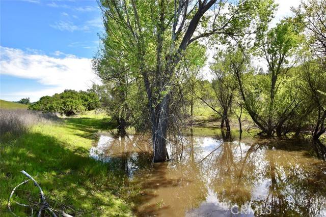 Bradley, CA 93426,48651 Sapaque Valley Road