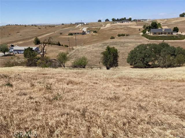 Paso Robles, CA 93446,0 Prancing Deer