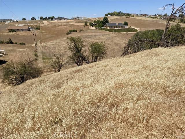 Paso Robles, CA 93446,0 Prancing Deer