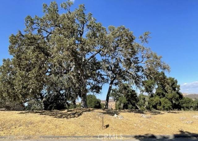 Paso Robles, CA 93446,9970 Bluegill