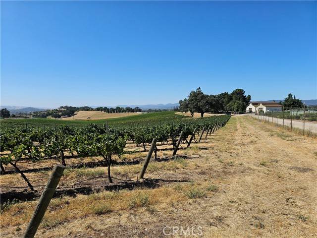 Paso Robles, CA 93446,0 Paint Horse Place