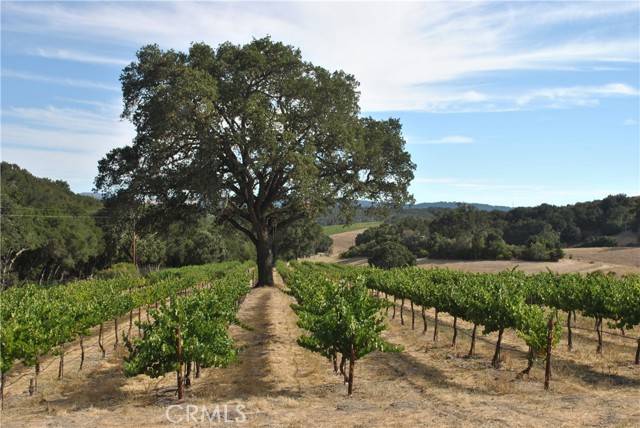 Paso Robles, CA 93446,2867 Township Road