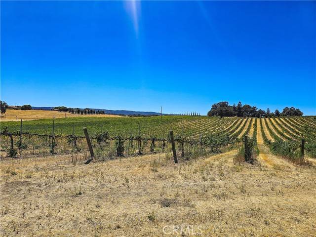 Paso Robles, CA 93446,34 Paint Horse