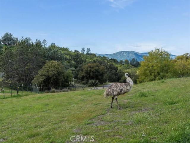 Bradley, CA 93426,76284 Bryson Hesperia Road