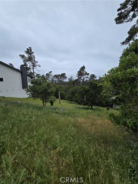 Cambria, CA 93428,0 Pierce