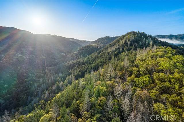 Talmage, CA 95481,5155 Mill Creek Road