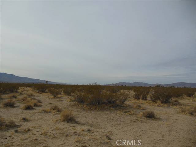 Lucerne Valley, CA 92356,449 Joshua