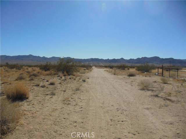 Joshua Tree, CA 92252,404 Gold Nugget