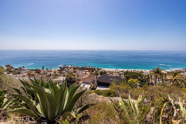 Laguna Beach, CA 92651,31164 Ceanothus