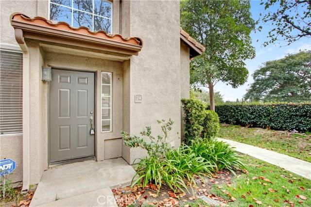 Aliso Viejo, CA 92656,24 Fuchsia