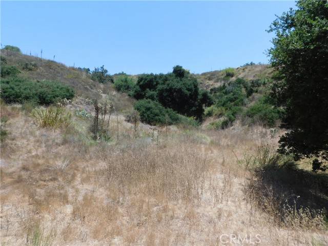 Trabuco Canyon, CA 92679,19272 Lambrose Canyon