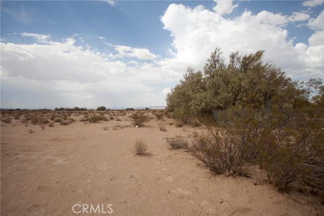 Newberry Springs, CA 92365,47858 Cheltham