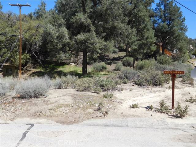 Pine Mountain Club, CA 93222,15009 Geneva