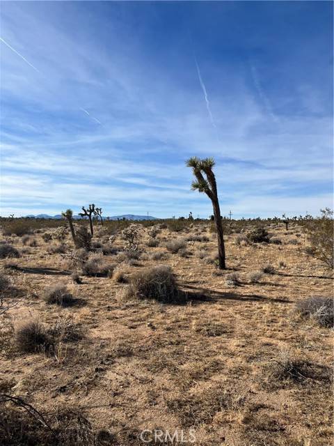 Yucca Valley, CA 92284,5 Bonita