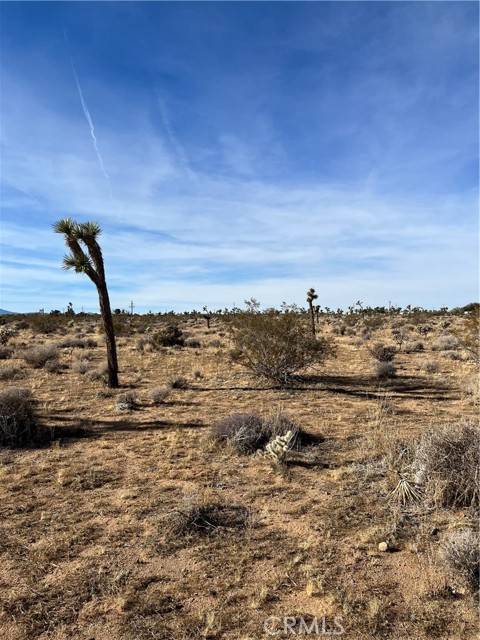 Yucca Valley, CA 92284,5 Bonita