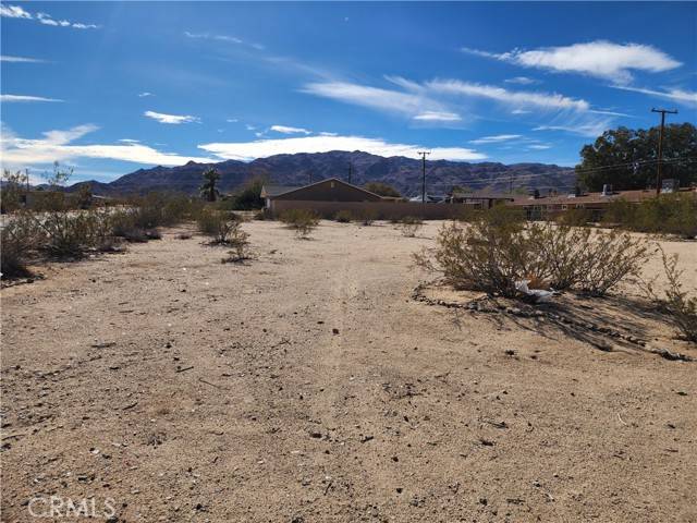 29 Palms, CA 92277,0 Smoke Tree