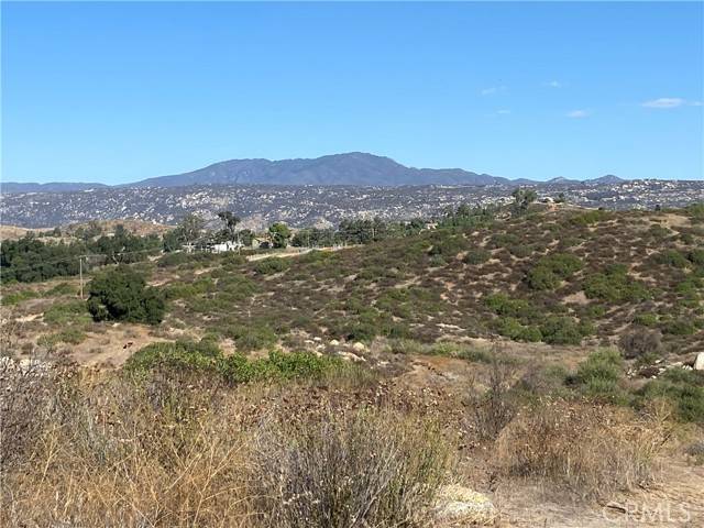 Hemet, CA 92544,10 Gray Squirrel Lot 10