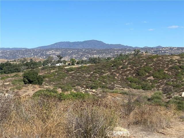 Hemet, CA 92544,10 Gray Squirrel Lot 10