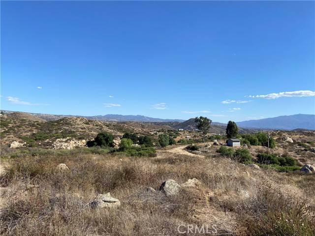 Hemet, CA 02544,11 LOT GRAY SQUIRREL