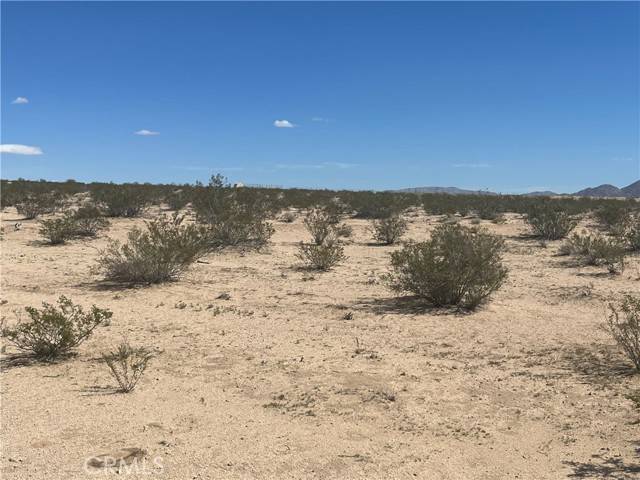 29 Palms, CA 92277,0 Pampas