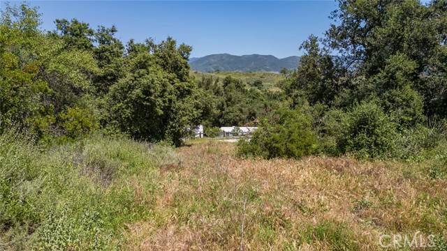 Trabuco Canyon, CA 92678,0 Danielle Lane