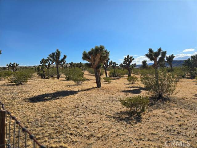 Yucca Valley, CA 92284,0 Long View