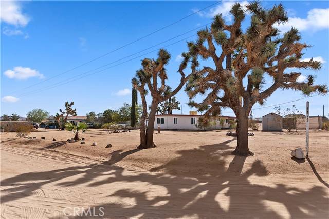 Yucca Valley, CA 92284,56461 Lowe Avenue