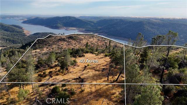 Oroville, CA 95916,0 Bloomer Mountain