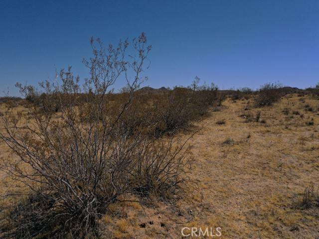 Yucca Valley, CA 92284,0 Hondo