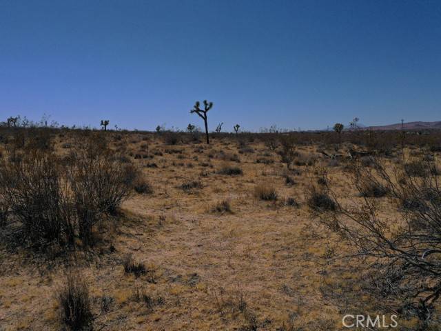 Yucca Valley, CA 92284,0 Hondo