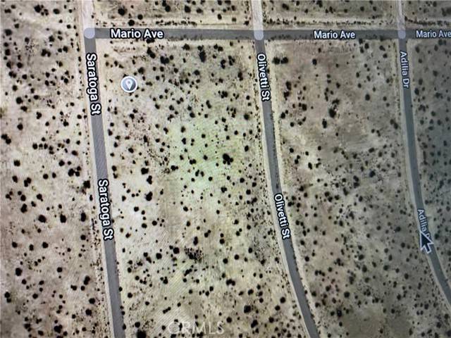 California City, CA 93505,2500 SARATOGA