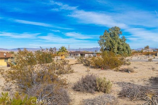 29 Palms, CA 92277,0 Sherman Hoyt