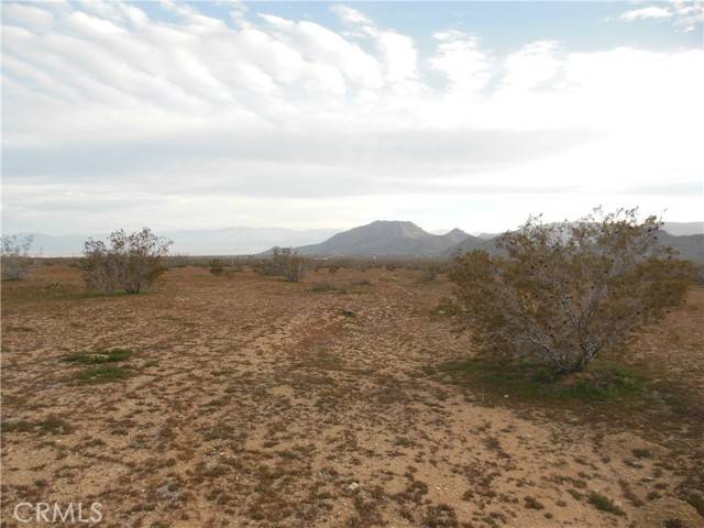 Lucerne Valley, CA 92356,1223 Lorraine@Larjoe