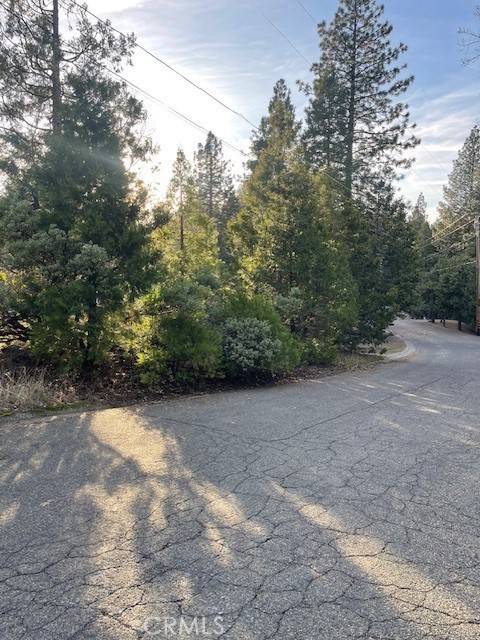 Pollock Pines, CA 95726,6172 Shad Way