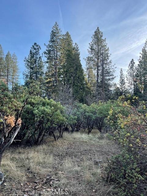 Pollock Pines, CA 95726,6172 Shad Way