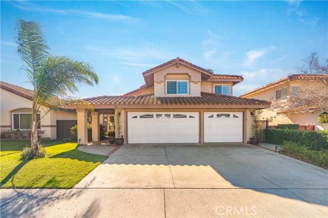 Rancho Santa Margarita, CA 92688,16 Sarracenia