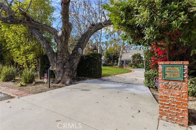 Encino, CA 91316,5229 Louise Avenue